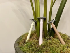 WCS Women's Silicone Safety Razor -Men's Shaving Products Store WCS Womens Silicone Safety Razor Ivory 8